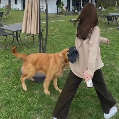 肖申克的救赎